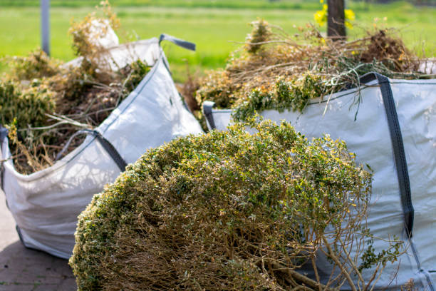 Professional Junk Removal in North Bay Shore, NY